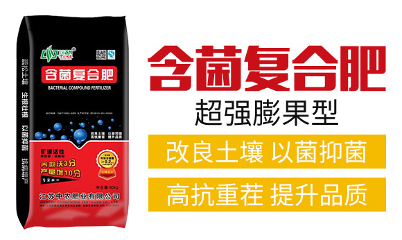 �����ͺϷ�-���r�ʘI(y��)_02