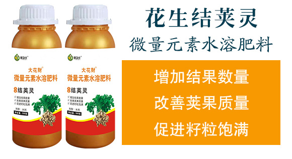 �����ٻ���ᘷ�辄�-��ؔ(c��i)-�G������_04