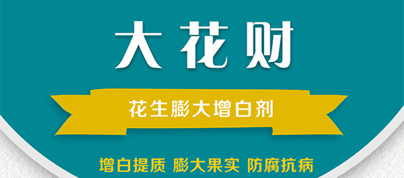 �����ٻ���ᘷ�辄�-��ؔ(c��i)-�G������_01