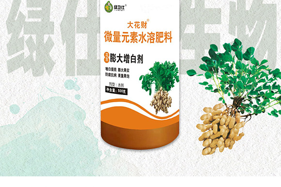 �����ٻ���ᘷ�辄�-��ؔ(c��i)-�G������_03