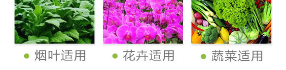 量子光肽炭基酶-果仕奇-國豐健園_09