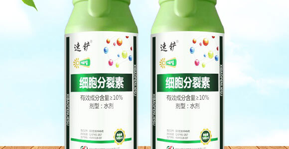 細(xì)胞分裂素-國(guó)豐健園_02
