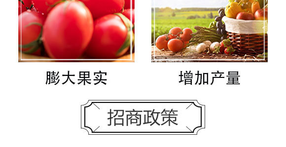 細(xì)胞分裂素-國(guó)豐健園_06