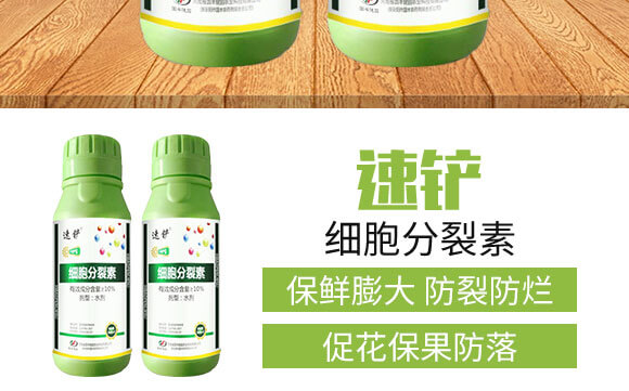 細(xì)胞分裂素-國(guó)豐健園_03