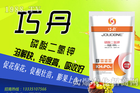 茄子需肥特性有哪些，夏季茄子高產(chǎn)管理技巧！