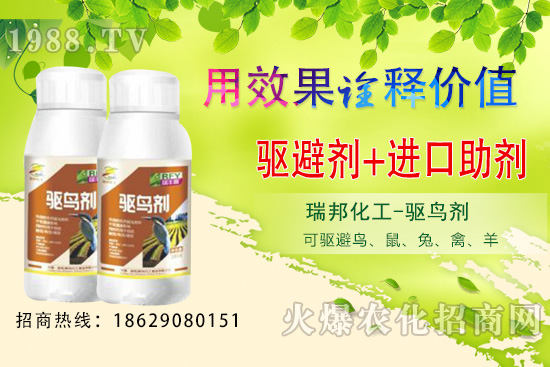 夏季果園鳥(niǎo)類猖獗,以下方法超乎你想象!果園驅(qū)鳥(niǎo)攻略!