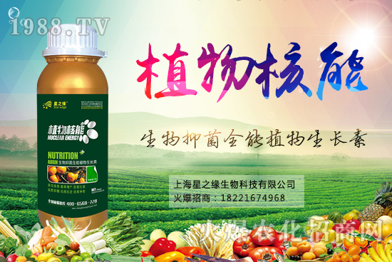 ����x(ch��ng)������