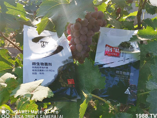 �îa(ch��n)Ʒ�����ã���һ�t���΢������������t���͑��挍(sh��)������