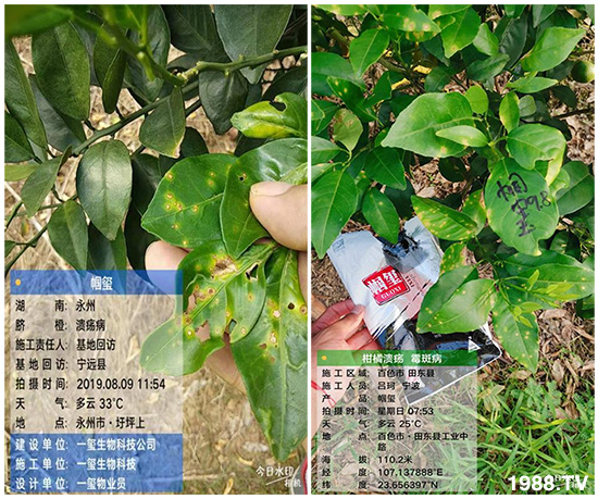 �îa(ch��n)Ʒ����������һ�t���΢������������t���͑��挍(sh��)������