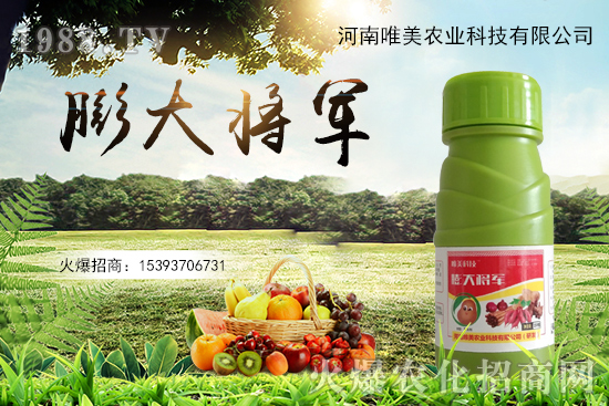 ����(sh��)�����������(sh��)С��ô��Q������(sh��)����ʵ��x������Щ��