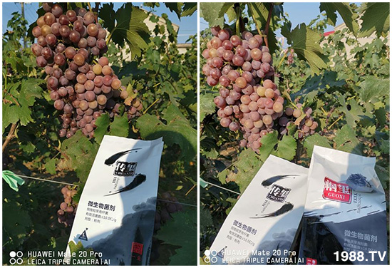 �îa(ch��n)Ʒ�����ã���һ�t���΢������������t���͑��挍(sh��)������