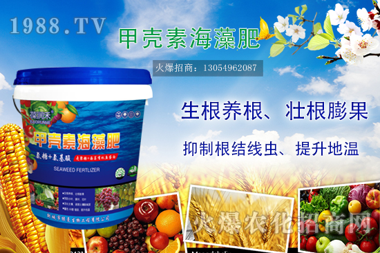 2020-7-20���ȏͺϷʃr���߄ݼ��������u