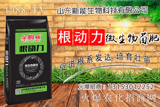 ����������ʲô����ʹ�á�΢������ʡ���ʲô��(y��u)��(sh��)��