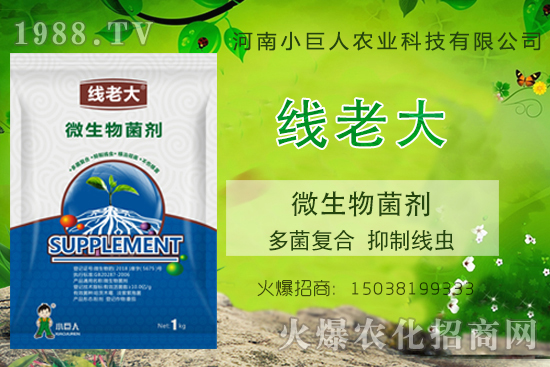 ���Y(ji��)���xզ���Σ����Y(ji��)���x����-�����ϴ󡱶���ͺ������ƾ��x��