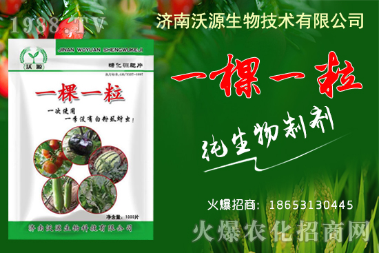 蚜蟲(chóng)、白粉虱、薊馬怎么防?沃源生物“一棵一!睔⒊x(chóng)卵,藥效!