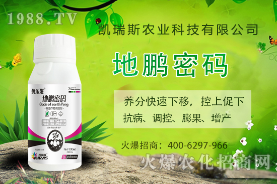 �P��˹�r(n��ng)�I(y��)��ô�����P��˹�r(n��ng)�I(y��)����a(ch��n)Ʒ����Щ��