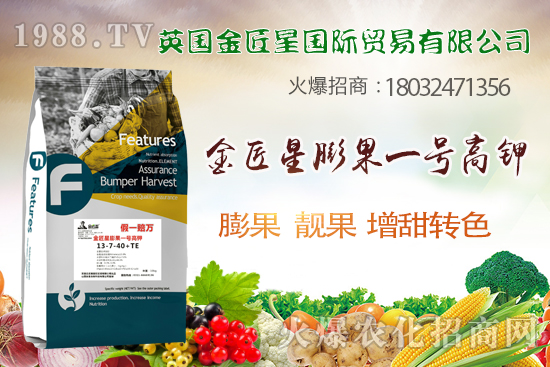 英國(guó)金匠星怎么樣？英國(guó)金匠星主營(yíng)哪些產(chǎn)品？