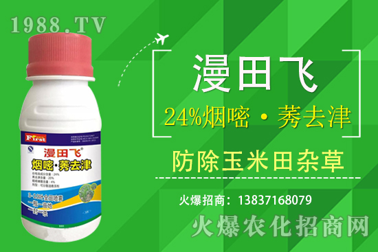 24%���ס�ݬȥ�����Ч���Æ᣿24%���ס�ݬȥ����ʲô���c��