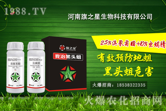 河南旗之星怎么樣？河南旗之星殺蛆產(chǎn)品有哪些？