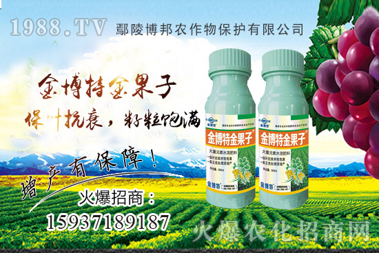 花生早衰減產(chǎn)嚴(yán)重該咋辦？花生早衰原因，種植戶如何避免？