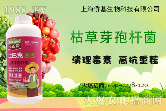 上海僑基“土巴克”-專注土壤病害防控和土壤修復15年！