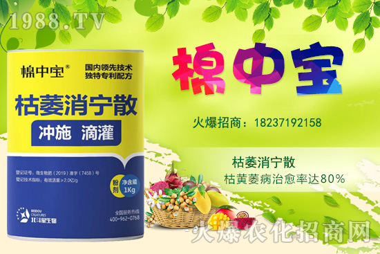 【品牌推薦】河南北斗星有什么優(yōu)勢(shì)？北斗星旗下產(chǎn)品有哪些？