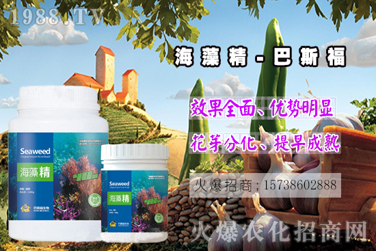  還不了解海藻精是啥？那你就真的out了！海藻精作用有多大？