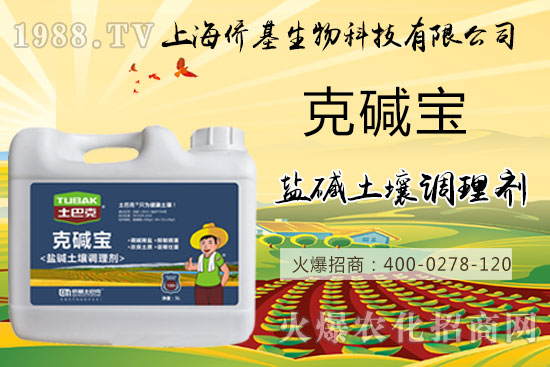 �����}�AΣ���������ˉA���������}�A��߀��һƬ������