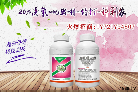 �������x���l(f��)̫���������x��ô��Ч���������x���η�������Щ��