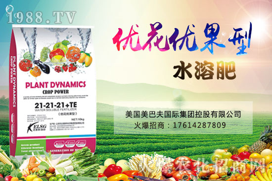 果實(shí)果小、不膨果？不妨試試“優(yōu)花優(yōu)果型水溶肥”，著色美果又增甜！