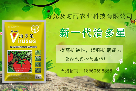 ���Ѳ�������֪���׷N�����Ӻ������η��Ѳ�������(��(n��i)�����η���) 