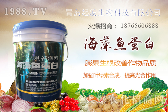 �߲˶�ֲ��ξ�������߲������`�^(q��)����Щ���߲�������������]��