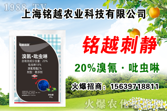 ���x(ch��ng)��