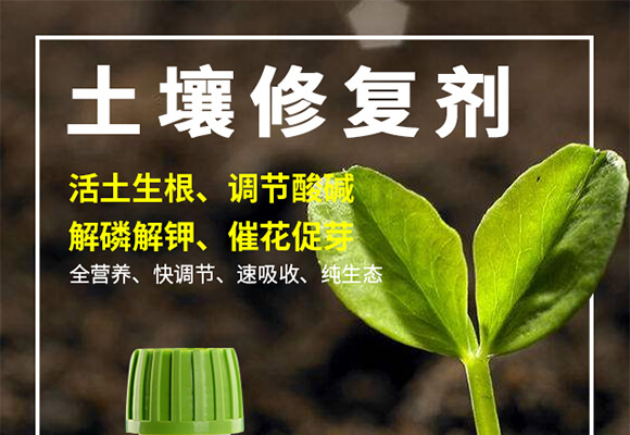 �����ޏ�(f��)��-����-���r(n��ng)˹�__01