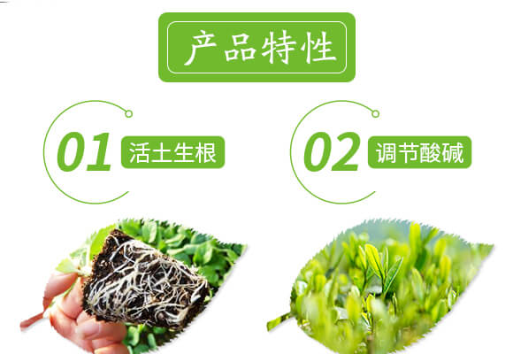 �����ޏ�(f��)��-����-���r(n��ng)˹�__04