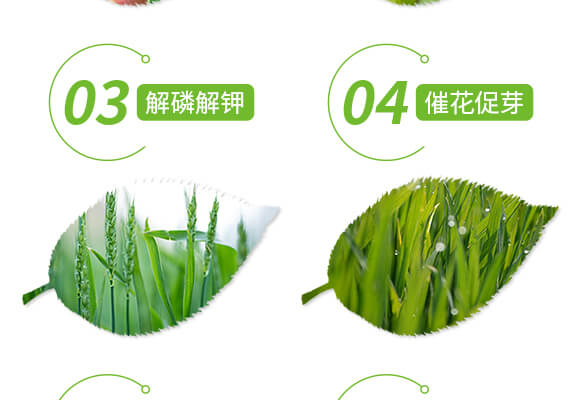 �����ޏ�(f��)��-����-���r(n��ng)˹�__05