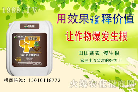 獼猴桃種植前景如何，獼猴桃種植技術(shù)要點(diǎn)！