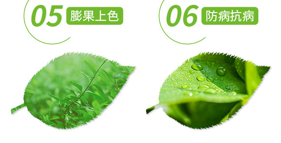 �����ޏ�(f��)��-����-���r(n��ng)˹�__06