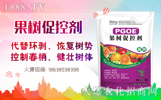 果樹巧用多效唑！效果翻倍沒問題！多效唑的作用與使用方法！