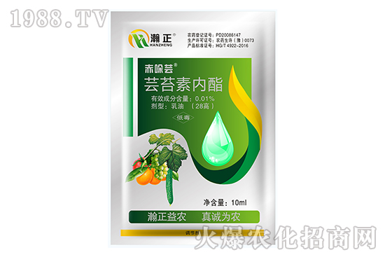 �|̦�؃�(n��i)����ʲô��(y��u)��(sh��)���|̦�؃�(n��i)����(f��)�䷽������Щ��