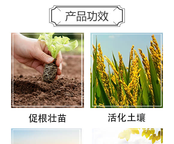 ̼�ܾ�ĸ-���挚-������_04