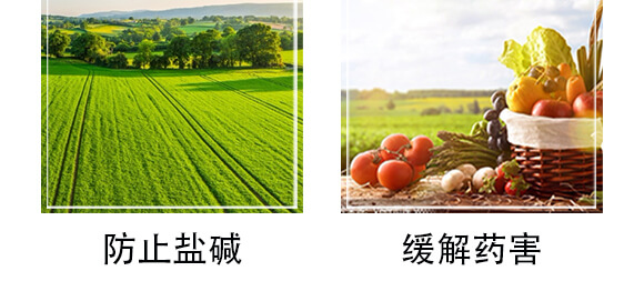 ̼�ܾ�ĸ-���挚-������_05