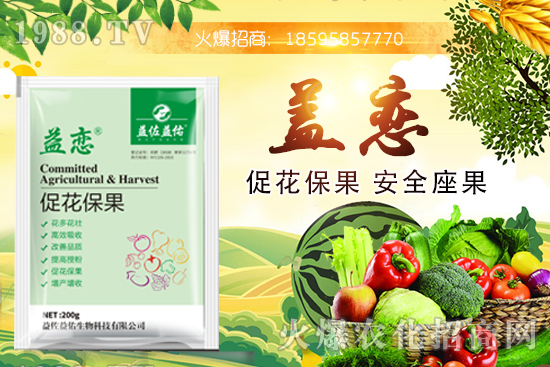 �����~�߲�