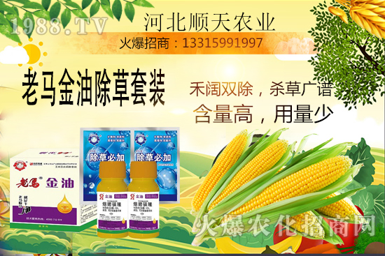 ����������������Ч�ʣ����׳����P(gu��n)�I�c��R����