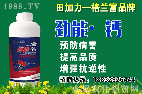 2020秋蘿卜什么時(shí)候種？秋蘿卜種植要注意哪些問題？