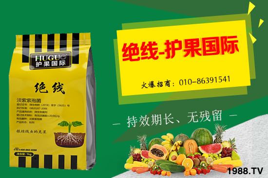 �޻���ʲôҪ�����������Щ��̎���޻�������g�������h��