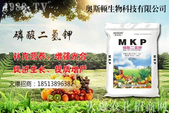 哪個(gè)品種的柚子更好吃，我國柚子產(chǎn)地及品種有哪些？