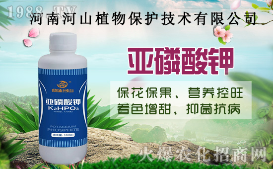 С�����߼Ӵa�������u(m��i)�Z��2020��8��14��С���r(ji��)��������