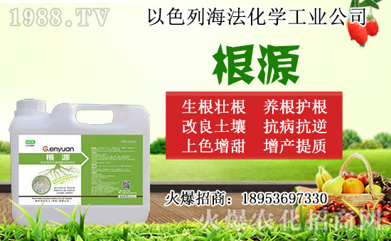 �o������ôǤ�����o����Ǥ��r�g��Ǥ�己ֳ������