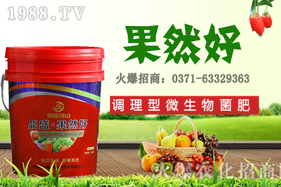 秋季適合種植哪些花卉？秋天播種六種花卉品種推薦！